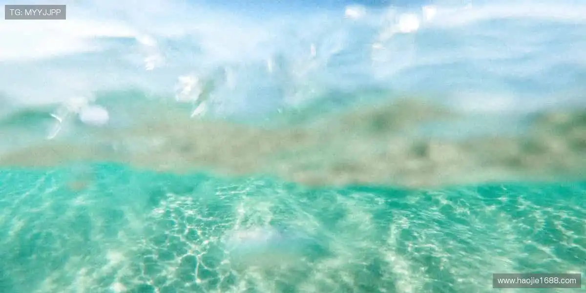 个性定制，独一无二！🎨👟 用你的故事，打造专属运动装备！